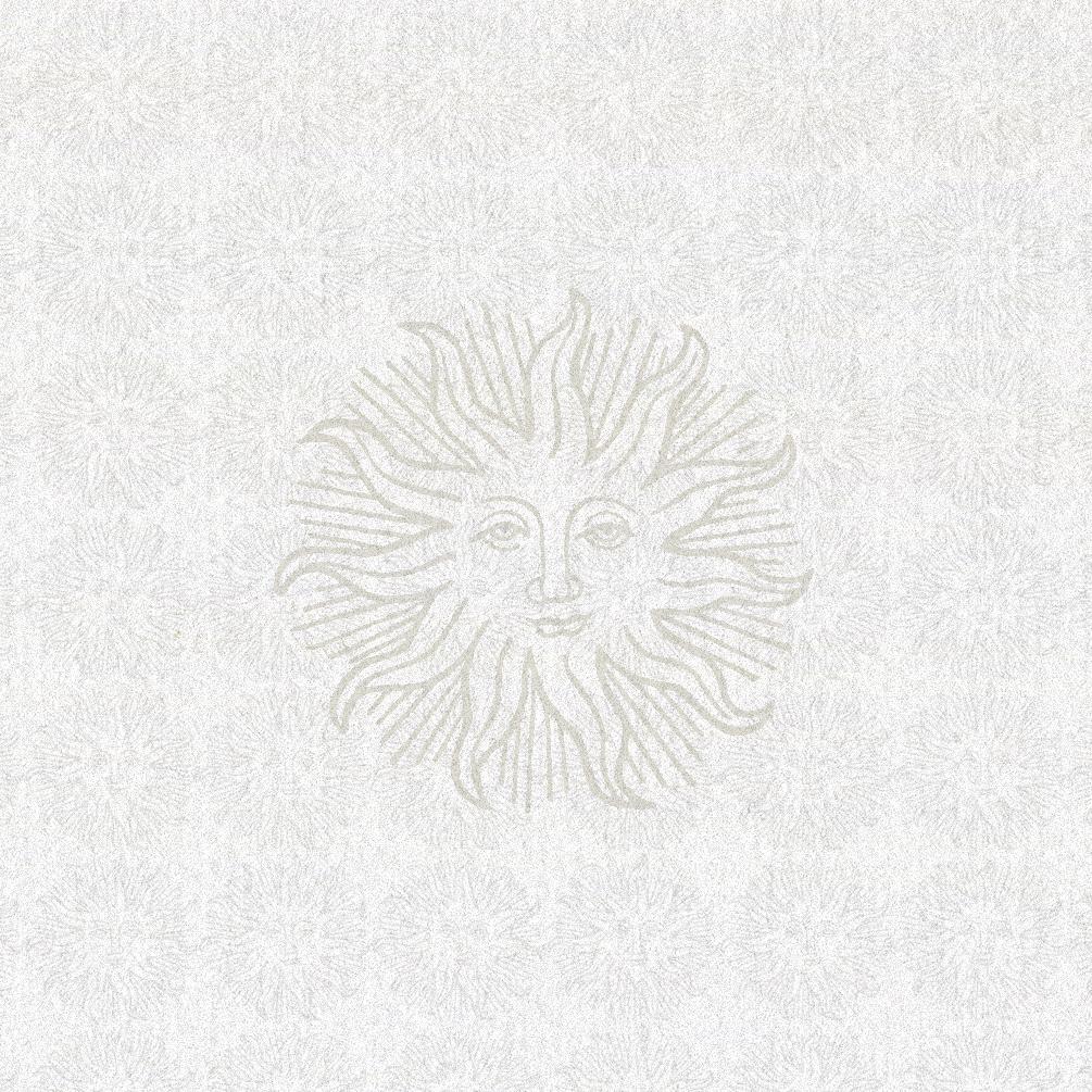 (A New) Dawn Patrol With Austen Van Der Bleek