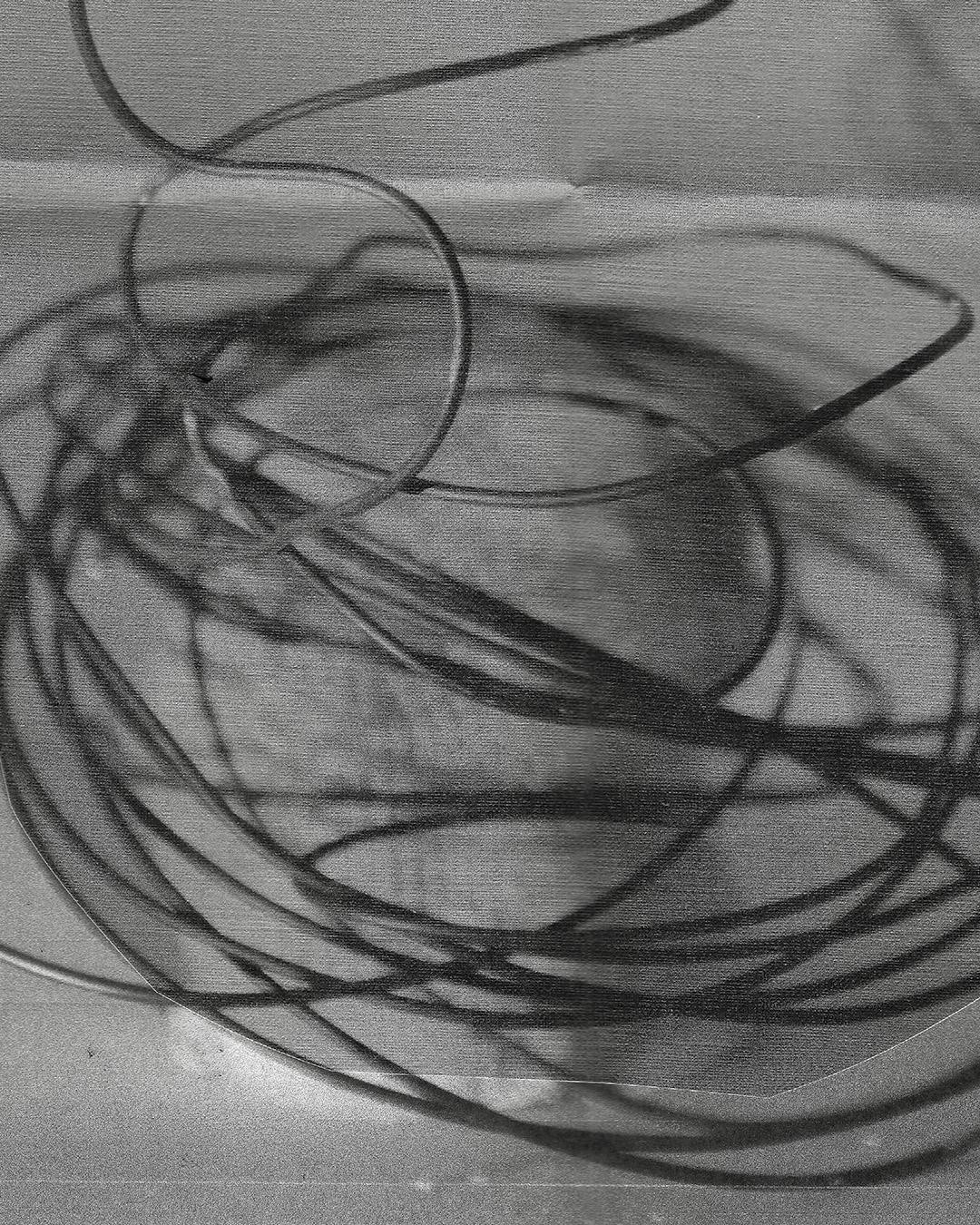 Cruise With Mareena, Muallem, Partok, Rene Wise