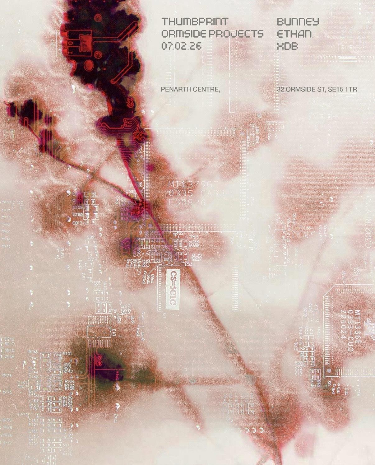 Thumbprint With Xdb, Bunney & Ethan.