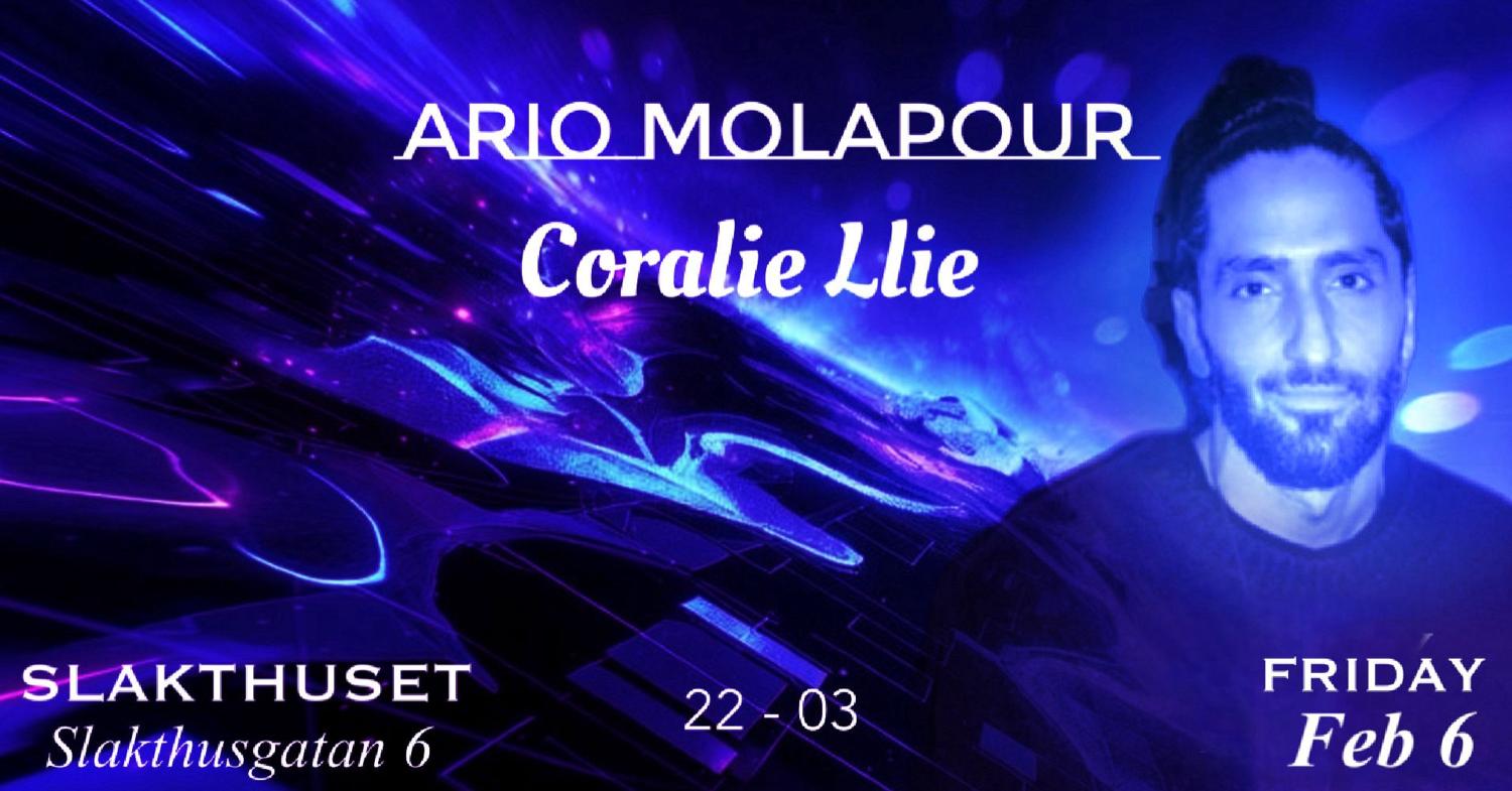 Ario Melapour & Coralie Llie