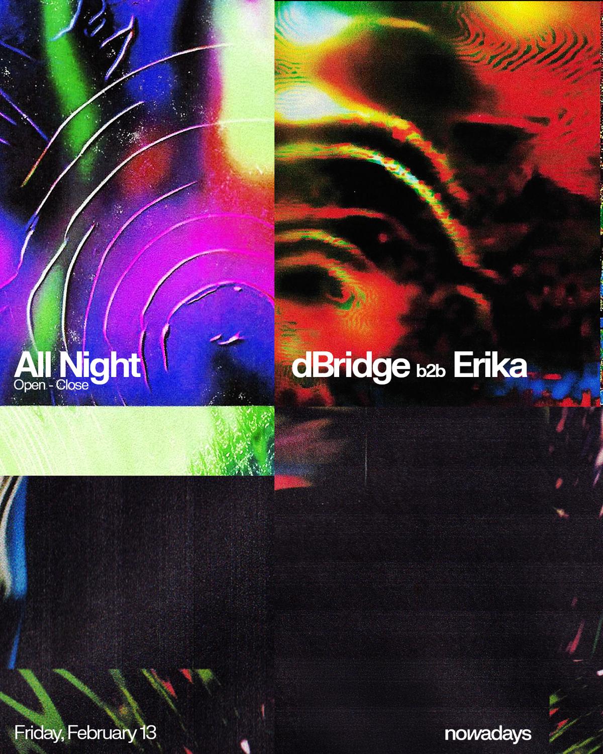 Dbridge B2B Erika All Night