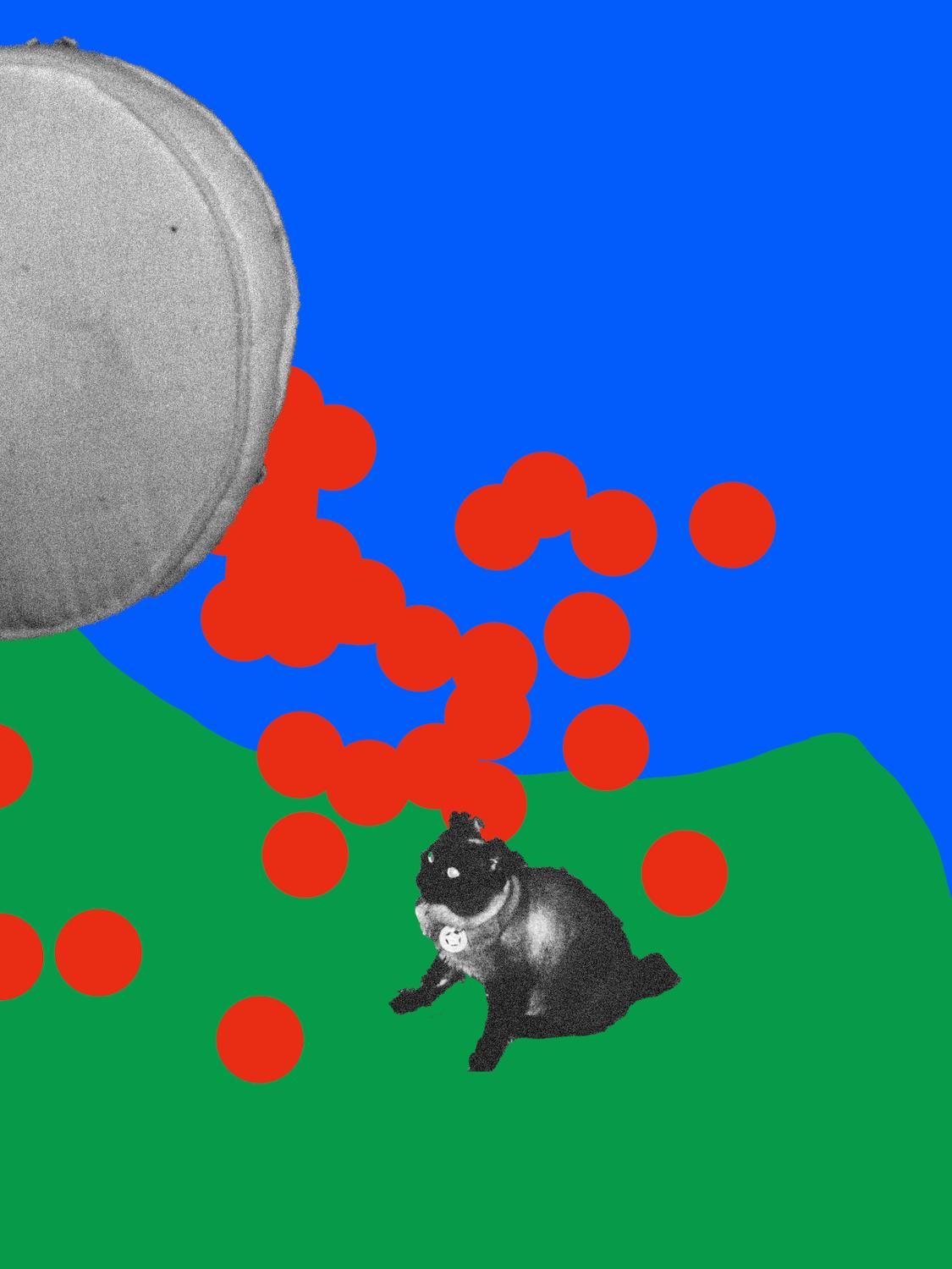 Fi X Moyneval X Ketoga X Karneval