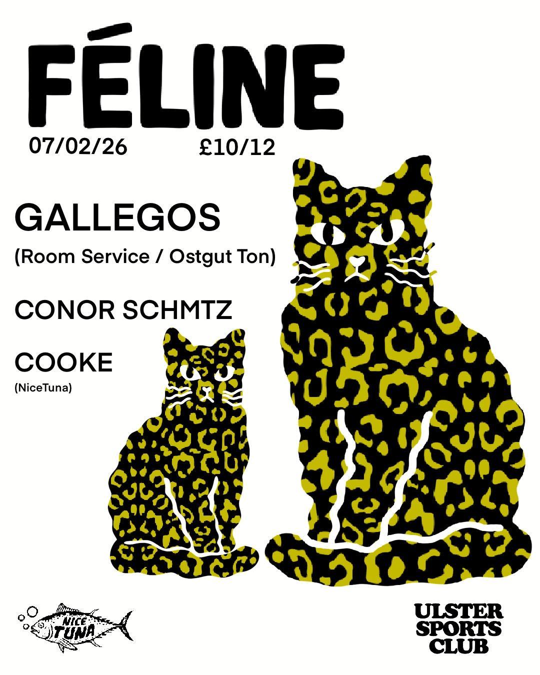 Féline W/ Gallegos / Conor Schmtz / Cooke