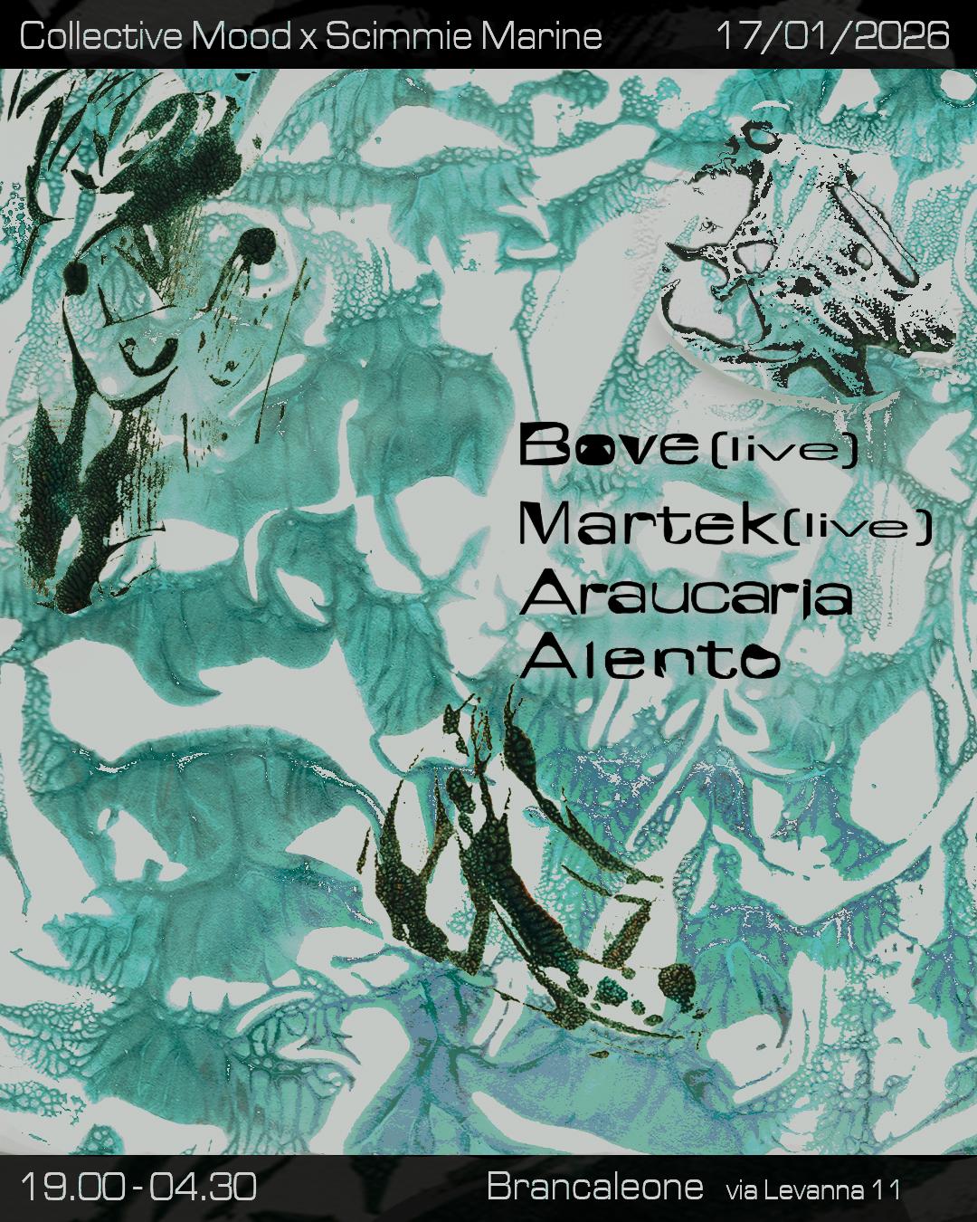 Collective Mood Invites Scimmie Marine