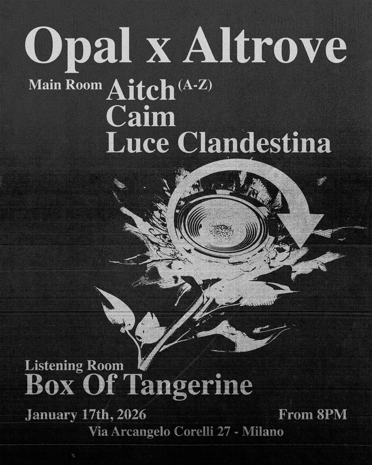 Opal X Altrove: Caim, Luce Clandestina, Aitch, Box Of Tangerine