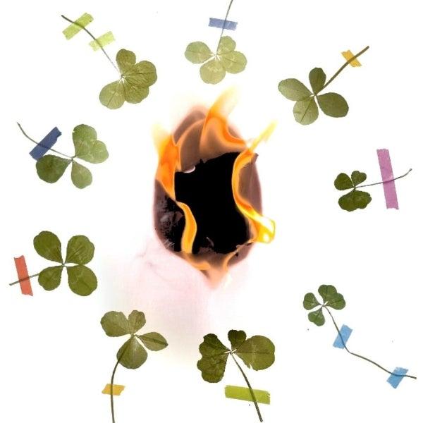 Fatshaudi & Lovefear