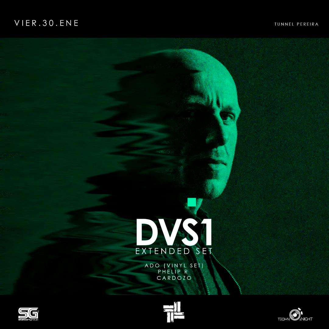 Dvs1