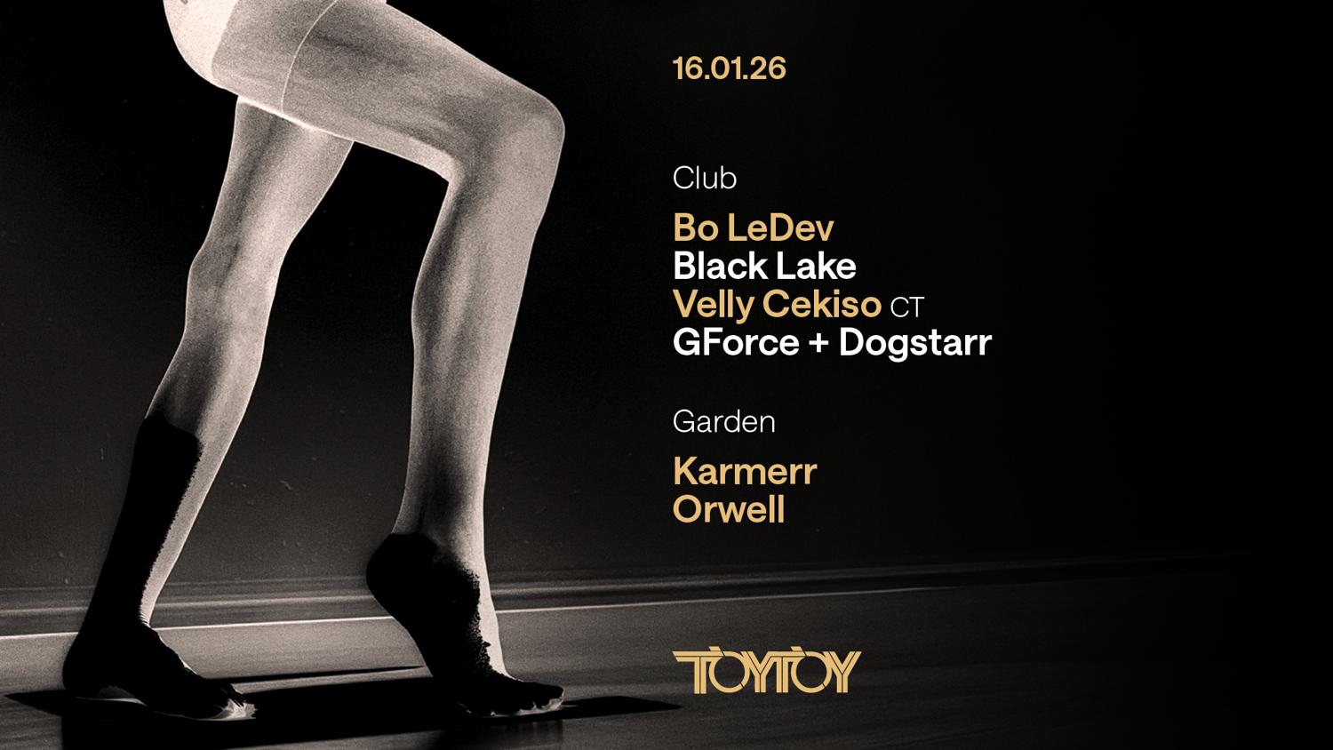 Toytoy 16 January 2026