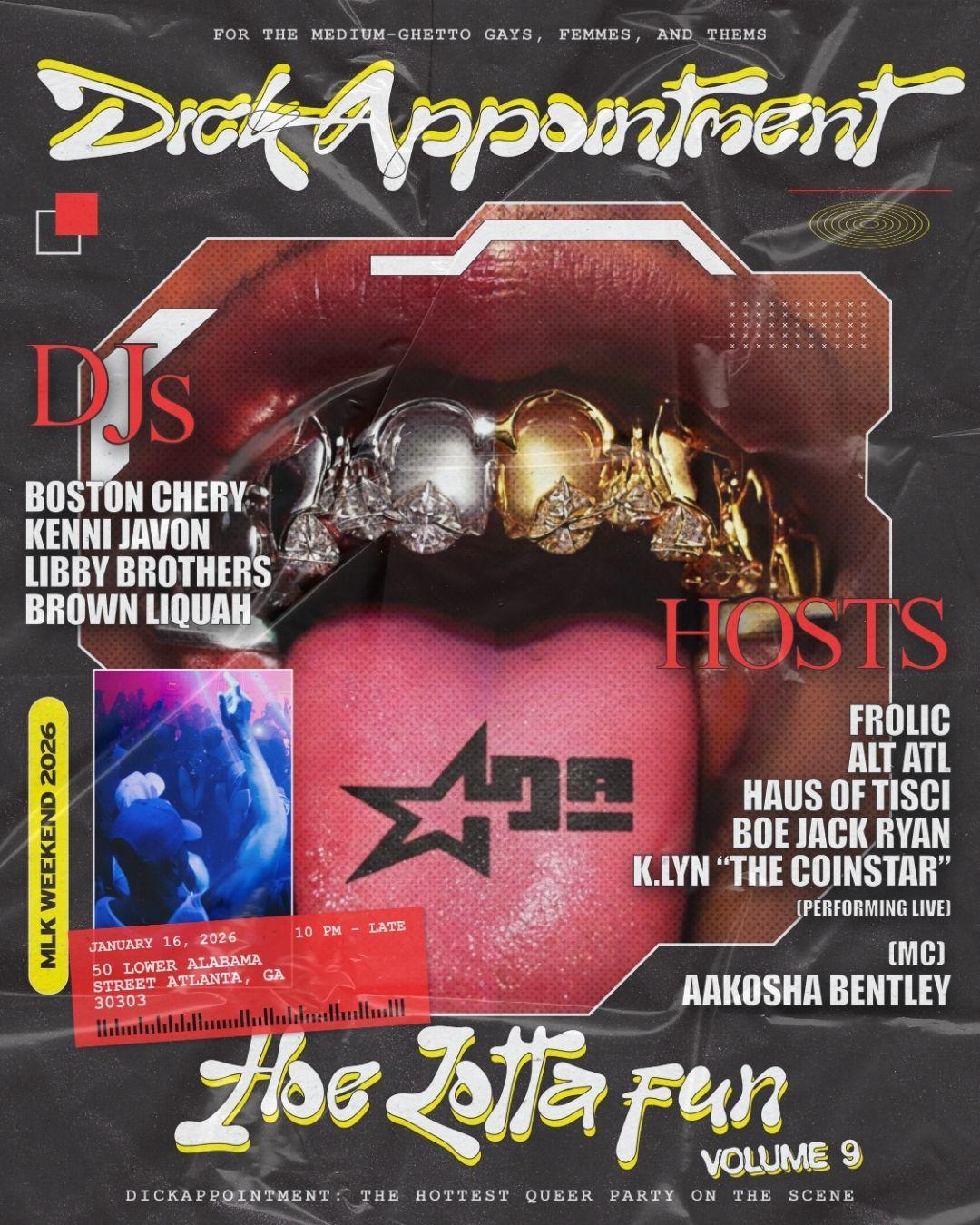 Dickappointment: Hoe-Lotta Fun Vol 9