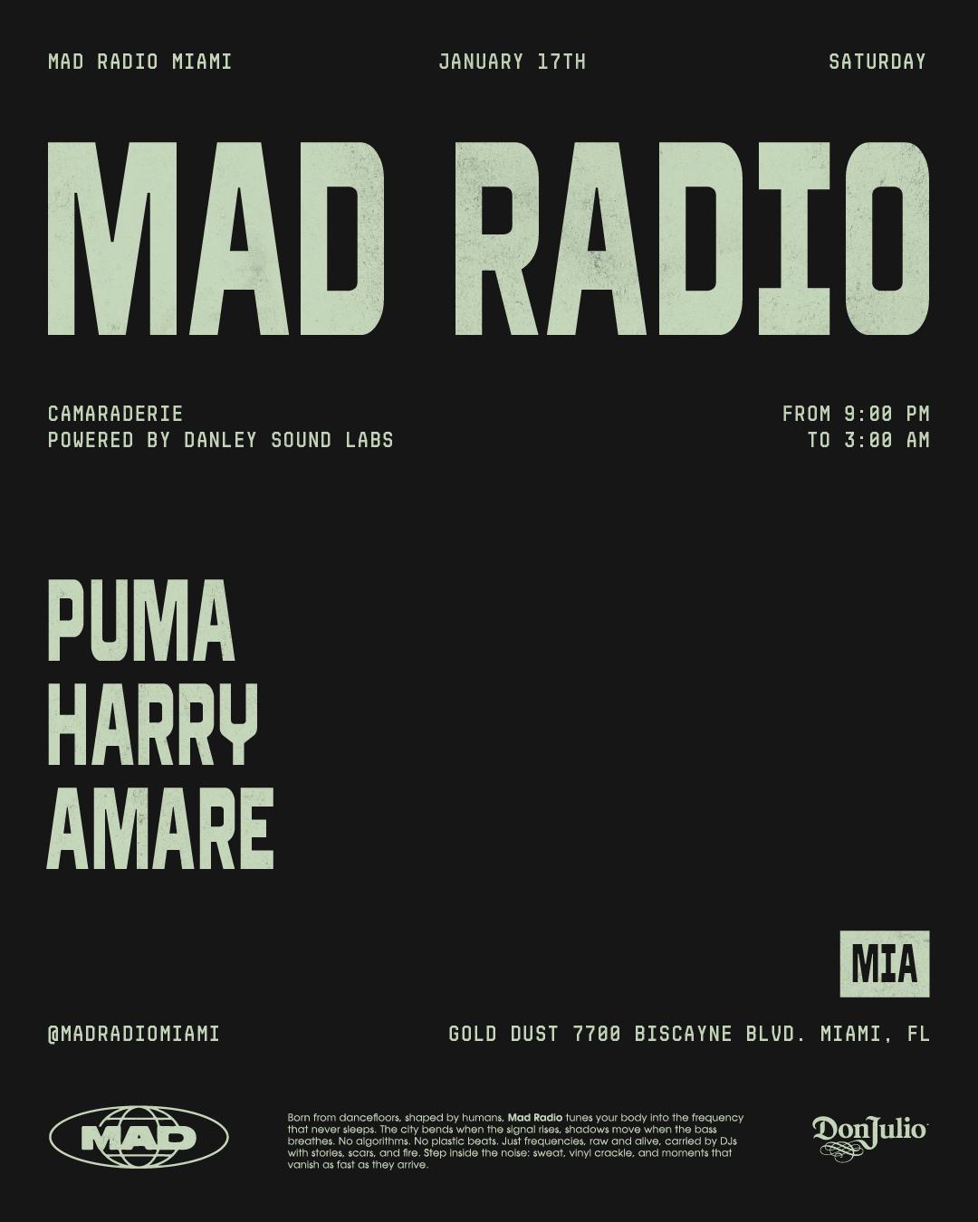 Camaraderie: Puma, Harry, Amare