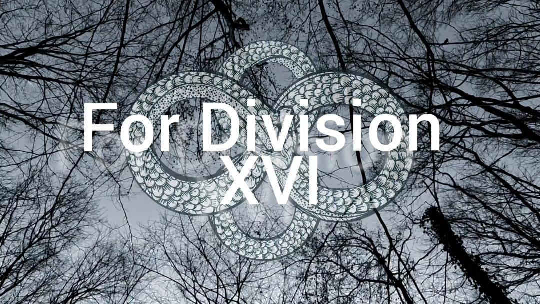 For Division Xvi
