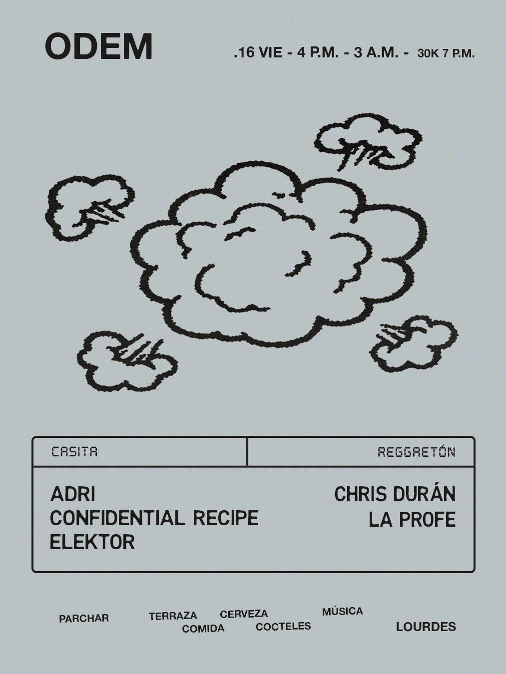 Adri / Confidential Recipe / Elektor