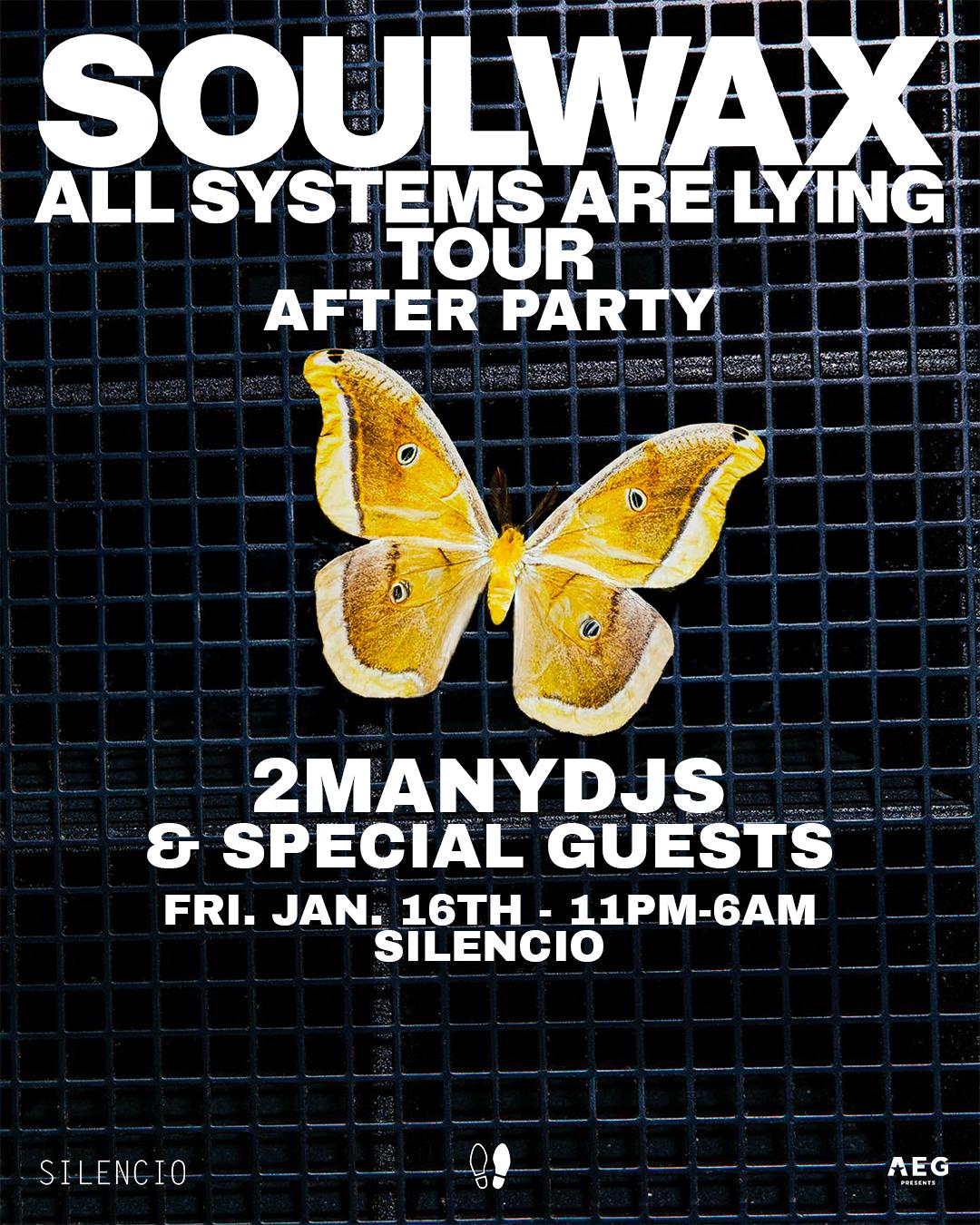 Soulwax Afterparty: 2Manydjs, Some & Guests
