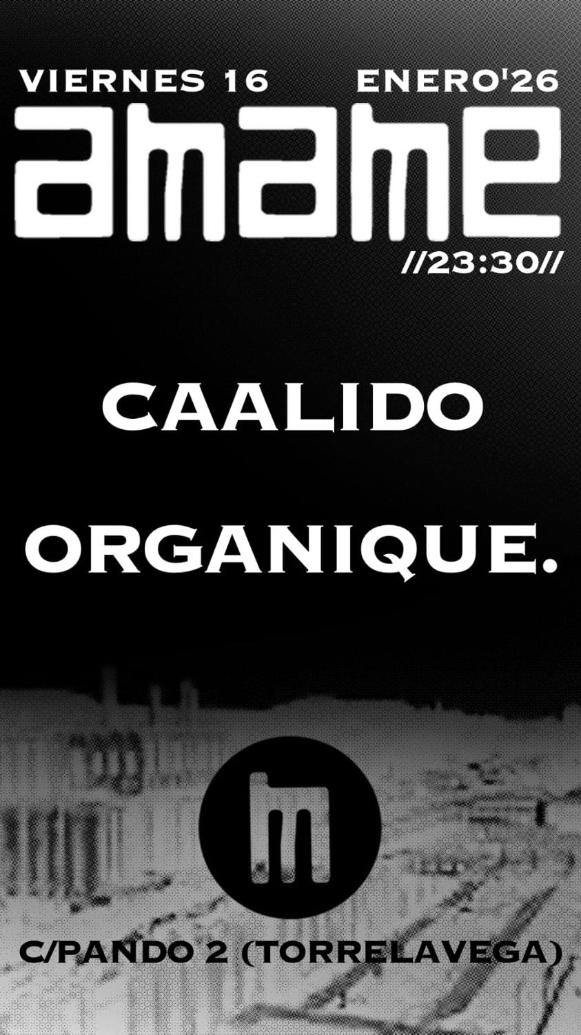 A.M.A.M.E. - Vie 16 - Caalido - Organique