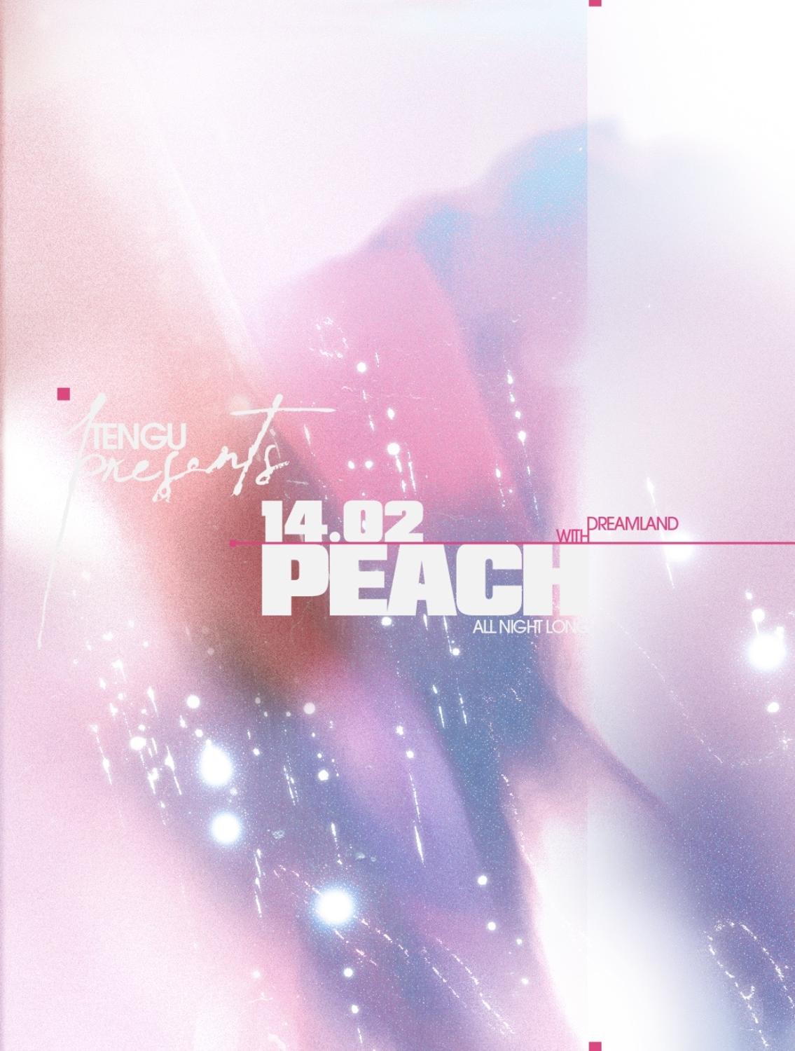 Tengu Presents: Dreamland With Peach All Night Long