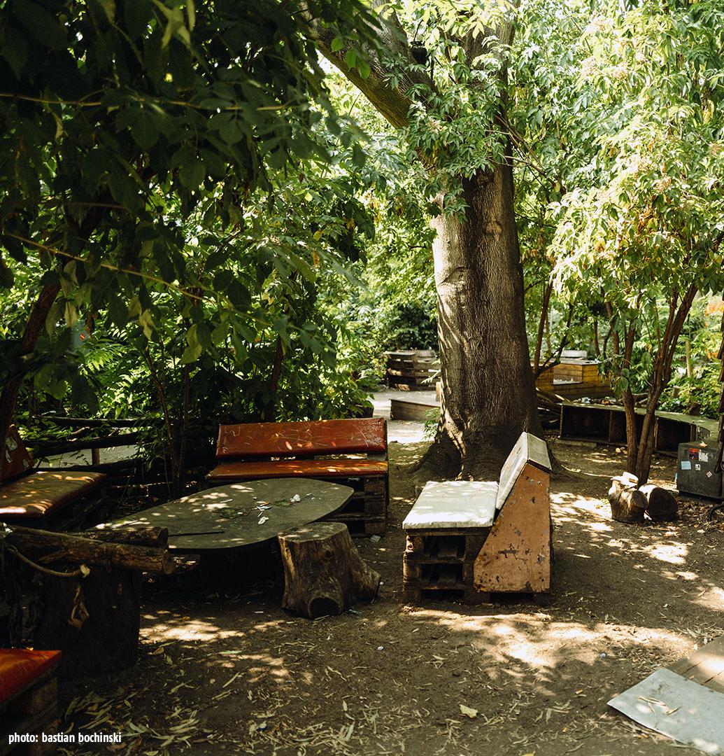 Sekt? Zehn, Ja! - 16Th Blank Birthday