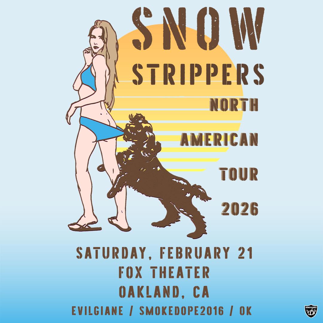 Snow Strippers