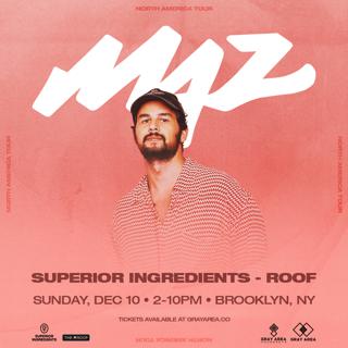 Maz On The Roof - Gray Area