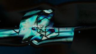 Intercell X Voxnox - Ade