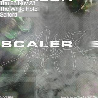 Scaler (Fka Scalping)