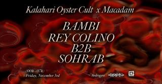Androgyne X Kalahari Oyster Cult • Rey Colino B2B Sohrab ~ Bambi