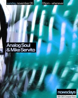 Analog Soul And Mike Servito