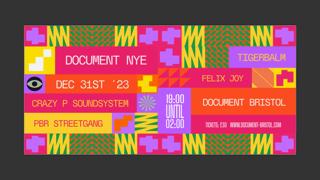 Document New Years Eve: Crazy P Soundsystem, Pbr Streetgang, Tigerbalm, Felix Joy