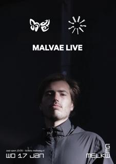 Malvae (Live)
