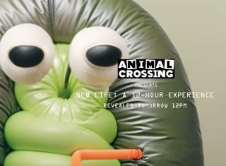 Animal Crossing Presents: New Life, A 12 Hour Expereince
