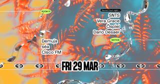 Fuse Presents: Sacred Court Night With Snts, Vera Grace & Demuja