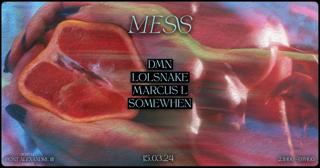 Mess Paris - Somewhen, Lolsnake, Marcus L, Dmn