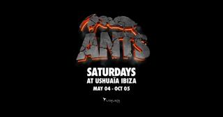 Ants