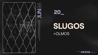 Slugos + Olmos