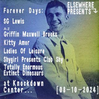 Sg Lewis: Forever Days