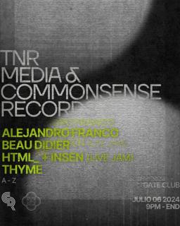 Alejandro Franco, Beau Didier, Html_ + Insen & Thyme - Tnr Media + Commonsense Records