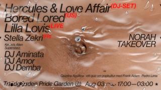 Pridegarden Saturday: Hercules & Love Affair