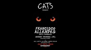 Cats With Francisco Allendes
