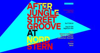 After.Jungle Street Groove
