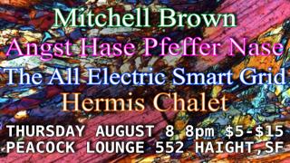 Mitchell Brown, Angst Hase Pfeffer Nase, The All Electric Smart Grid, Hermis Chalet