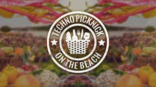 Techno Picknick On The Beach 2024 - Free Open Air