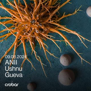 Crobar Pres.: Anii