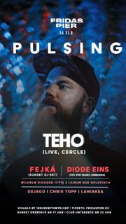 Pulsing Pres. Teho (Live), Fejká, Diode Eins