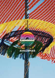 Audiodise X Amazonas Beach Party