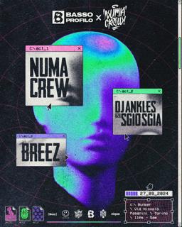 Basso Profilo Presenta Numa Crew