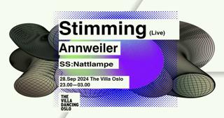 Stimming // Annweiler Ss: Nattlampe