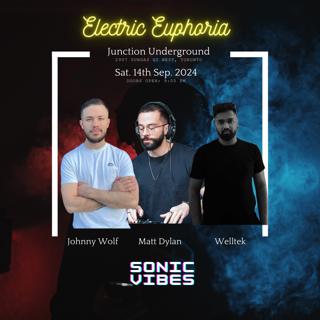 Sonic Vibes: Electric Euphoria: Techno, Progressive, Melodic (House)