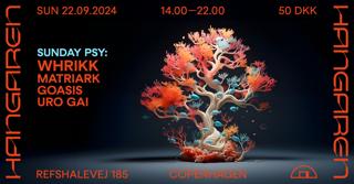 Sunday Psy: Whrikk (Nl), Matriark, Goasis, Uro Gai