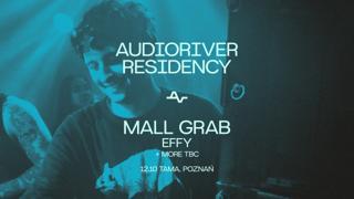 Audioriver Residency Pres. Mall Grab