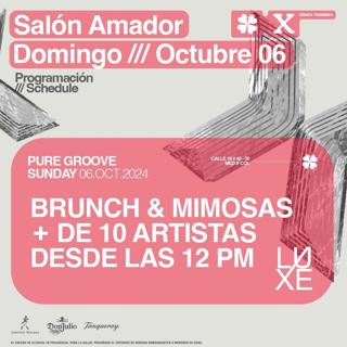 Salón Amador Presenta: Pure Groove