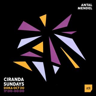 Ciranda X Doka Studio (Ade) W/ Antal & Mendel